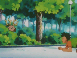 Brock the Stantler‘This little ones scare pretty easily. So to get close to one, you have to act lik