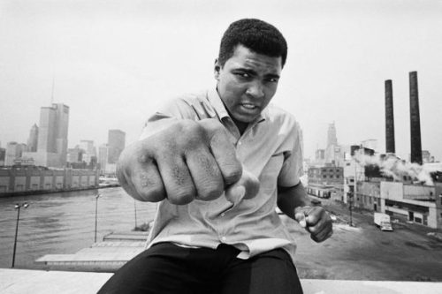 bjorgg:  “The best way to make your dreams come true is to wake up.” - Muhammad Ali