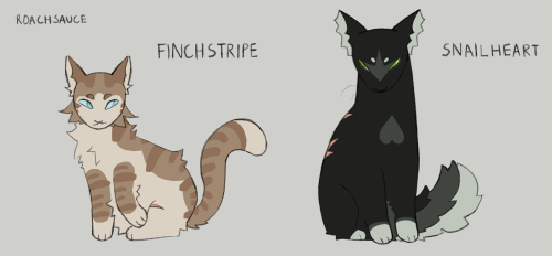 Reject Modernity, Embrace Tradition (warrior Cats Ocs)