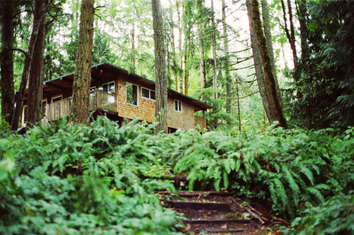 waynedenman:  Cabin in the woods by Wayne Denman