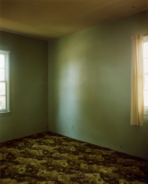 likeafieldmouse:  Todd Hido - Foreclosed Homes 