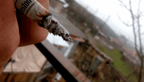 sikimsonikinsanlarr:  *