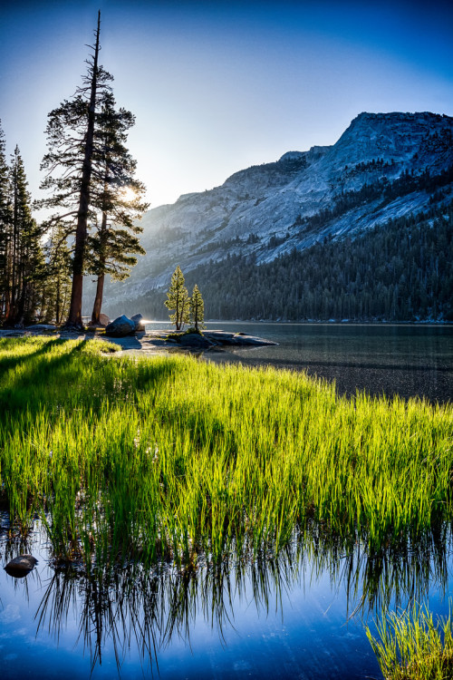 mistymorningme:  Rising Sun at Tenaya Lake © jwtrlndr Yosemite National Park, CA