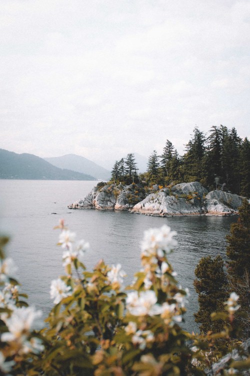 salboissettphoto:Ocean views at Whytecliff Park, Bc