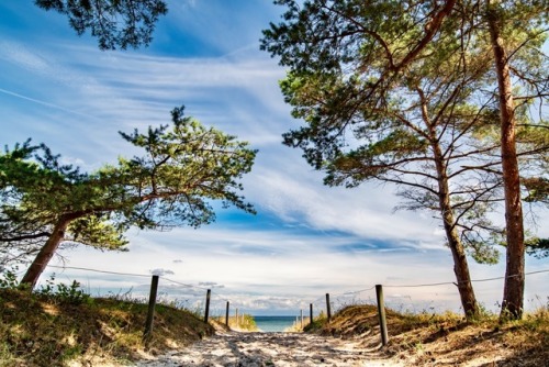 willkommen-in-germany:Path to the beach in Sellin, Mecklenburg-Vorpommern, Northeastern Germany ich 