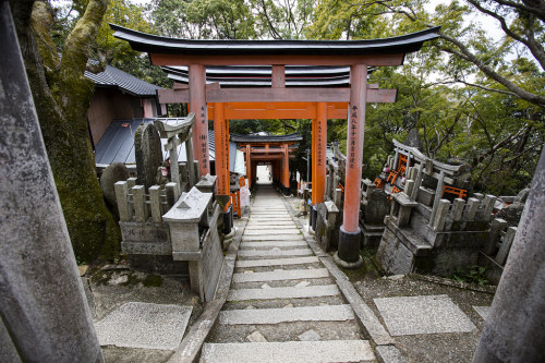 Fushimi Inari-Taisha by MLopht Photography | Dortmund Fushimi Inari-Taisha, Kyoto, 2019 Die Aufnahme