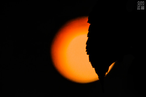 Super blood moon eclipse seen from Fall River, Nova Scotia.