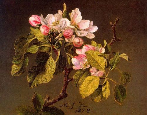 Martin Johnson Heade - Apple Blossoms,1878