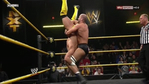 XXX Adrian Neville vs Antonio Cesaro on NXT!  photo