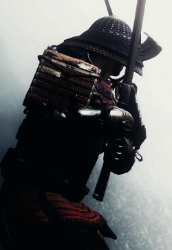 johnnybravo20:  Samurai (by Corfus) 