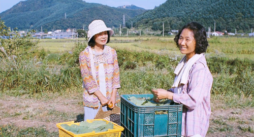 koreancinema: 시 (이창동 2010)  Poetry (Lee Chang-dong, 2010)