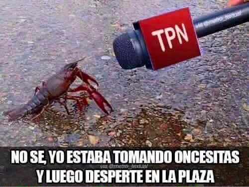 FUTUBANDERA ¡ES LA LUUUZ!