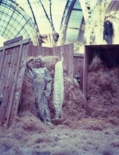 eliesaab:  ELIE SAAB Haute Couture by Cathleen Naundorf at the Grand Palais in Paris