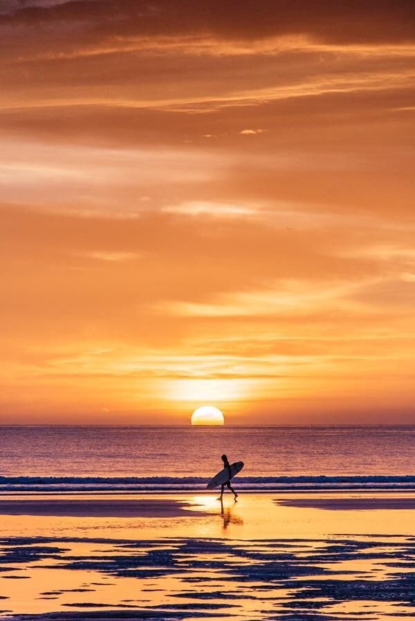 surfer-roo01:   