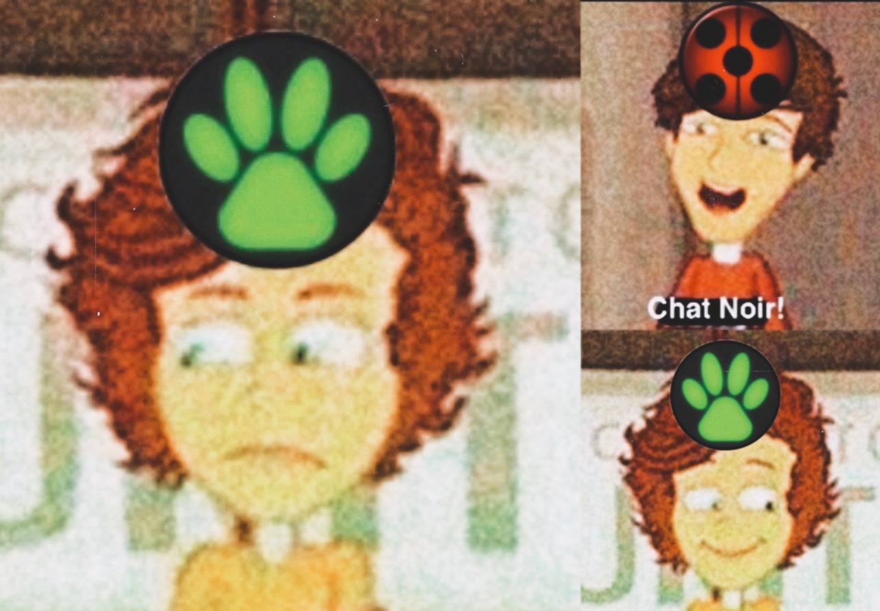 Incorrect Miraculous Quotes Incorrect Miraculous Quotes