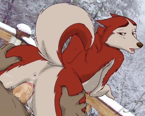 sf-yiffblog:  Random furry mix :3  why wont no one ask something? :<