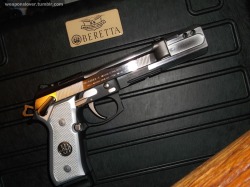 Weaponslover:  Beretta Steel I &Amp;Amp; Combat 96 Mod