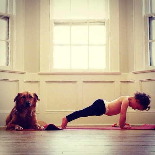 ladyknucklesinshape:  bendymommy:  Plank pose. I hurt my back last night so my daughter will be taki