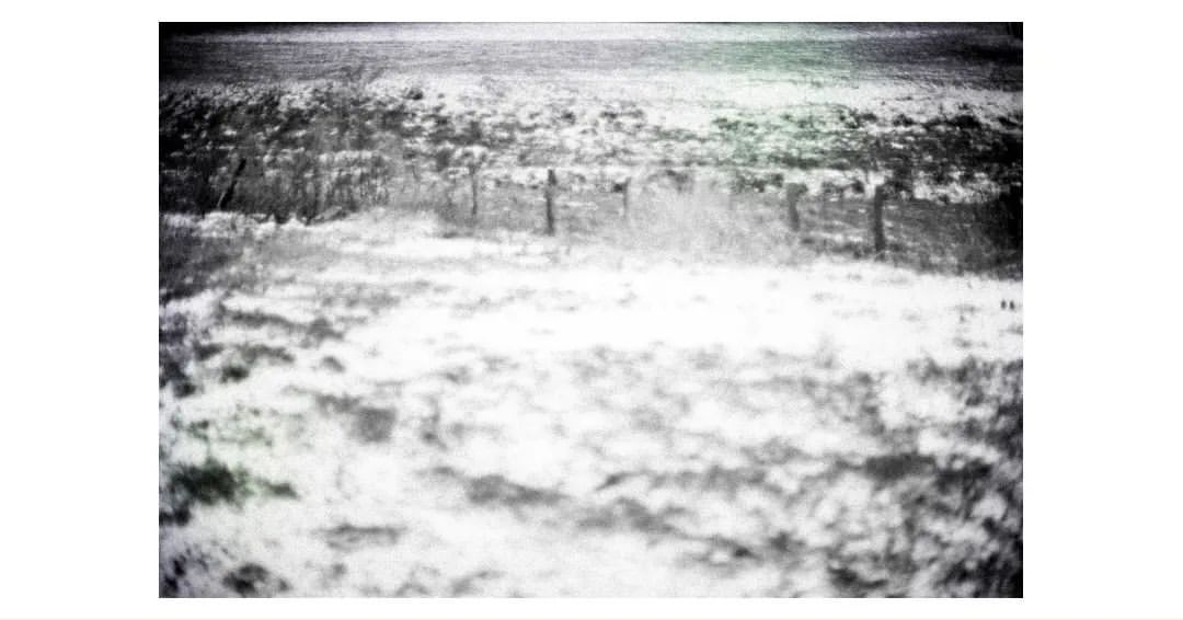 , Winter Landscape #snowy #snowysea #bnw_greatshots #bnwmagic #bnw_magic #analoguefilm #filmisnotdead #filmisgood #analoguefilm #filmphotomag #filmphotography #theanalogclub #everydayeverywhere #theanalogclub #naturelover #blackandwhite #analog #Gouvy (à Gouvy) https://ift.tt/jT8OtsZuP, François Dejardin , Site artistique Officiel
