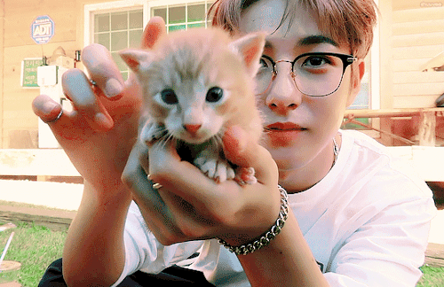 I Cant Believe Renjun Found Something Even Tinier Than Himself