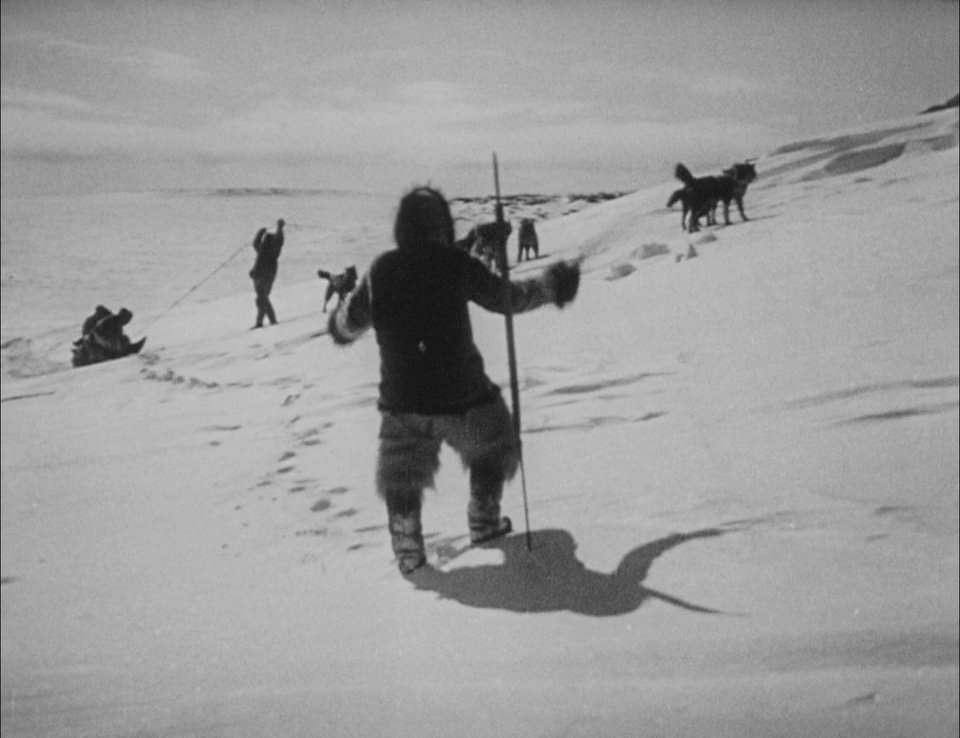 Nanook of the North (Robert J. Flaherty, 1922)