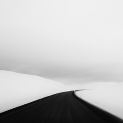 midnightmartinis:andy lee