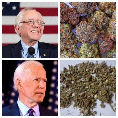 powerburial:topherchris:Where I come from, we don’t worry about these fruity-tuity California style buds. Okay? I’m from Scranton. What i’m smoking is dirt. So lets get that straight jack. Pure brick. Ass. Okay? America- Americans are wanting to