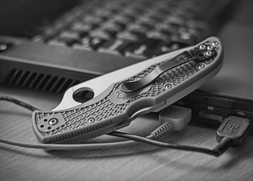 sonderzug:  Spyderco Endura http://forum.knives.pl/index.php/topic,158201.0.html 