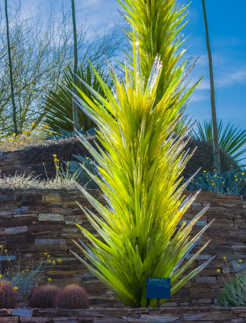 XXX Glass art by Dale Chihuly Photo by wordsmatty photo