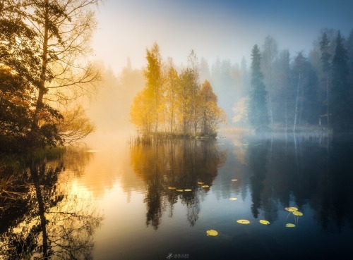 te5seract:  Forest Pond & Morning of my Dreams by  Lauri Lohi   