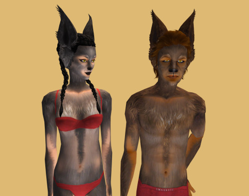 pixeldolly: Lovely Lycan -  Werewolf Ears matching Lifa’s Dear Wolf fur overlays by Hypersaline &amp