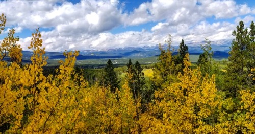 All this talk today of “taking a knee” in the NFL. I’m thinking about taking a hike.