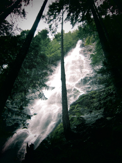 never really sure where He is leading you but it is always good. || Teneriffe Falls, North Bend, WA