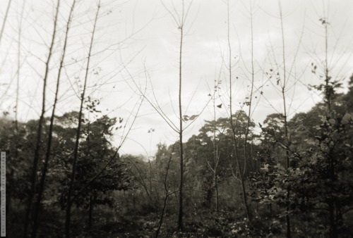Some More "peripheral Tundras" From Last November. Let's Also Welcome All The [edit] New [/edit] Followers!