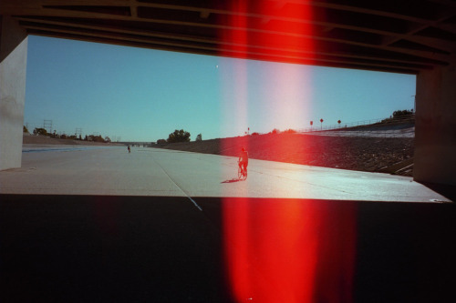 untrustyou:  Todd Weaver
