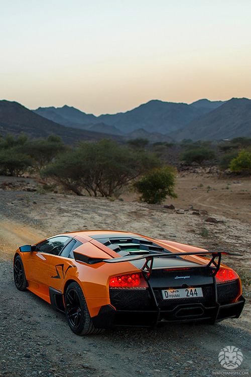 watchanish:  Dubai Adventures x Lamborghini Murcielago SV.Read the full article on WatchAnish.com.