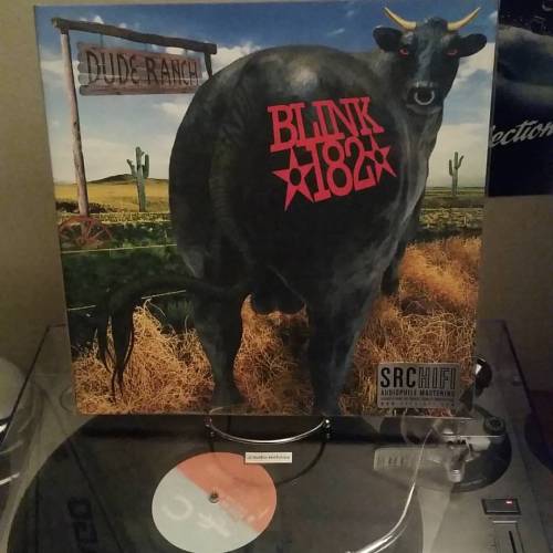 SRC&rsquo;s release of Blink-182&rsquo;s Dude Ranch is todays spin of the day #blink182 #poppunk #po