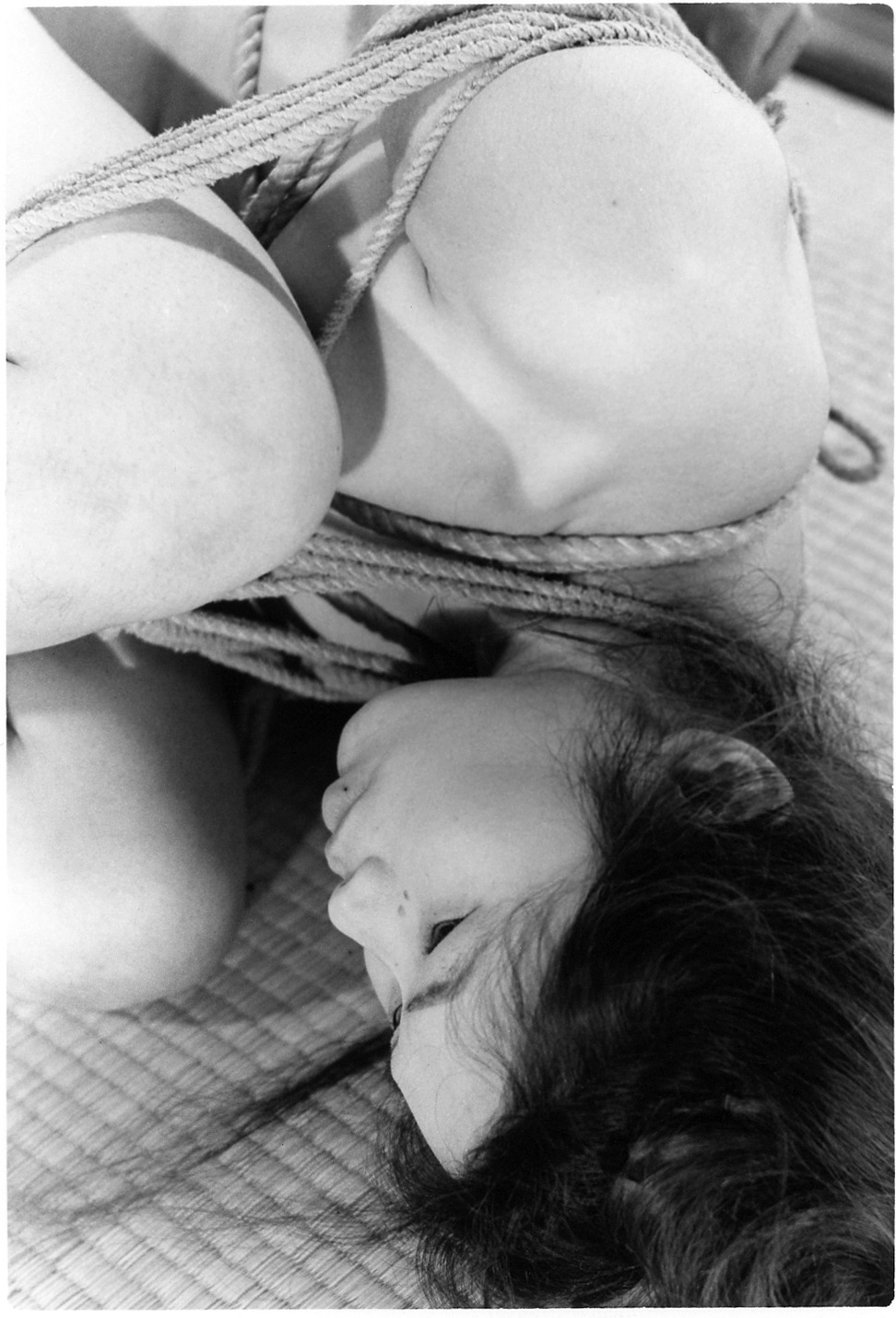 VIOLENZA