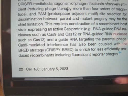 CRISPR Was Already On Thin Fucking Ice As A Serious Name For A Biotech Technique And Now They Made Up