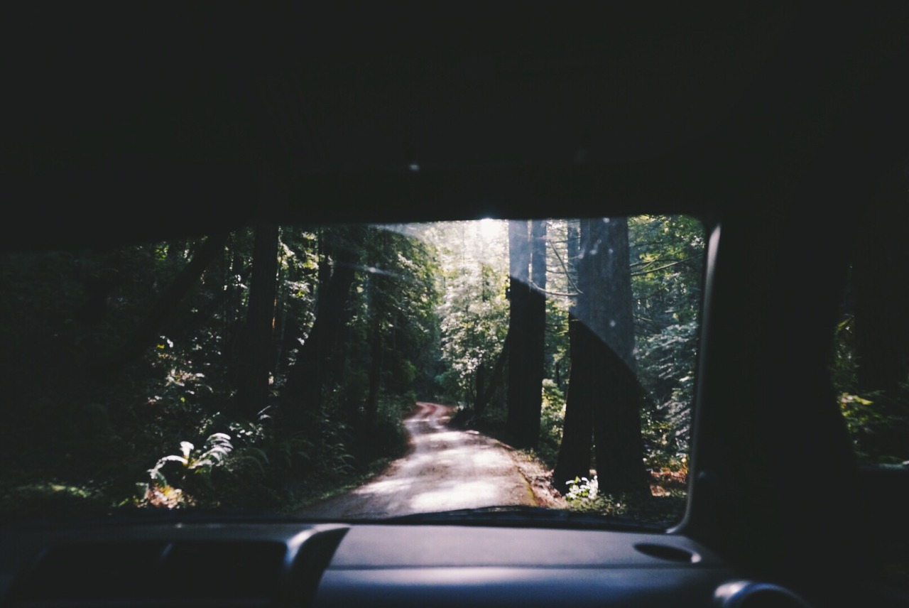 Ramble On