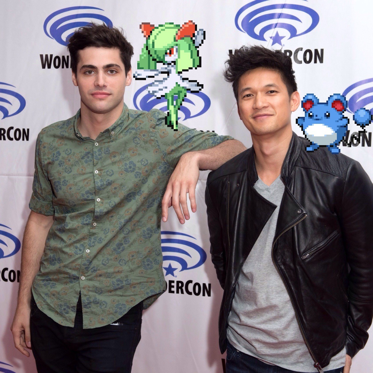 pinkplot:  Shumdario // Pokémon 