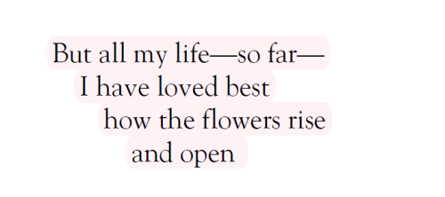 angesirene:  — Mary Oliver, from Moccasin Flowers