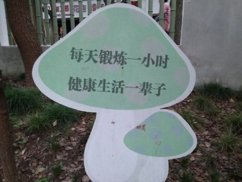 xiangqiankua: Encouraging signs in a park in Shanghai  1. 天天百步走，健康久久久 2. 每天鍛鍊一小時，健康生活一輩子 鍛鍊 du&