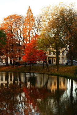 exploringthenetherlands: Orange, red, brown