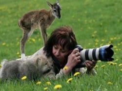 dawwwwfactory:  This photographer who was approached by a baby deer and a baby wolf Click here for more adorable animal pics!