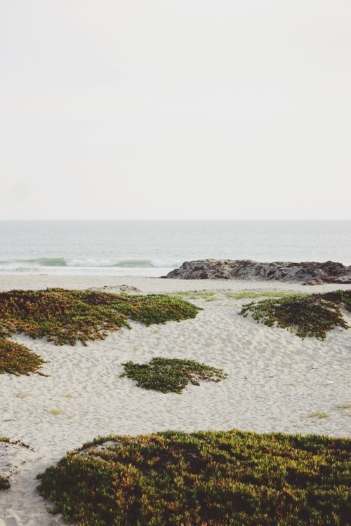 Lose yourself.