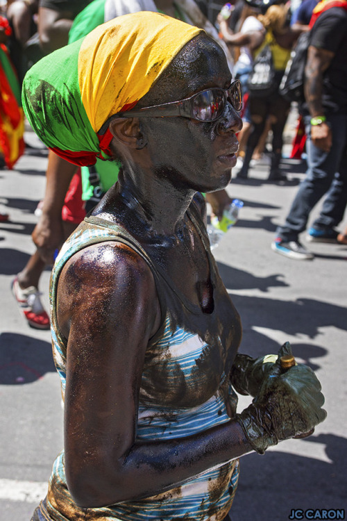  La Carifiesta est une fête toute en couleurs et en musiques qui rappelle l'ambiance des Caraïbes un