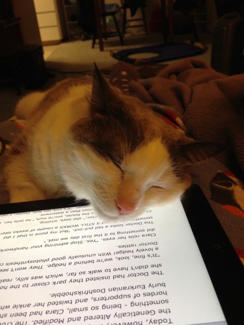 chocolatequeennk:Reading with Smokey@mostlycatsmostly