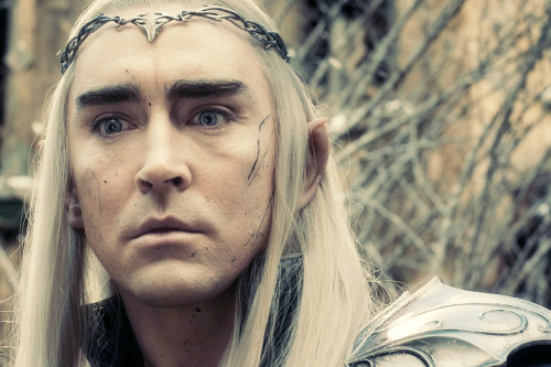 the-hobbit:“I’ve spent enough Elvish blood in defense of this accursed land. No more!”