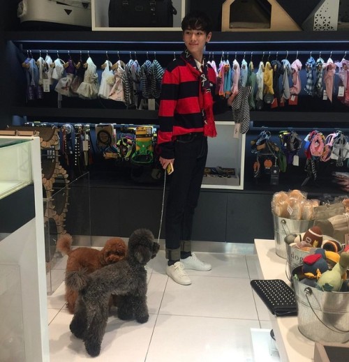 romanceboys: (170505) bumkeyktranslation: present